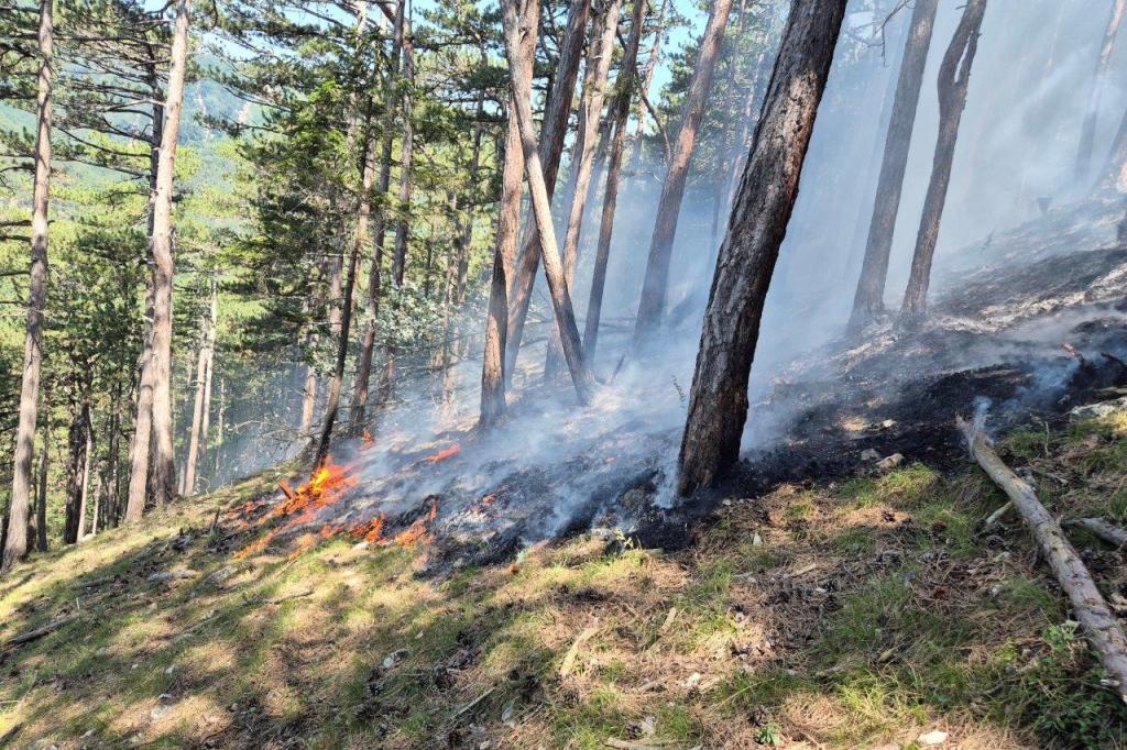 Waldbrand in Oed auf der Mandling