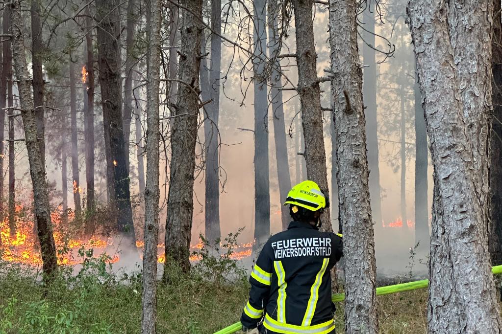 Aktuell: Waldbrand in St. Egyden am Steinfeld (NK) – Unterstützung durch Kräfte aus dem Bezirk Wiener Neustadt