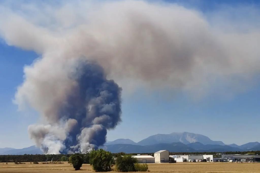 Erneut Waldbrand in St. Egyden