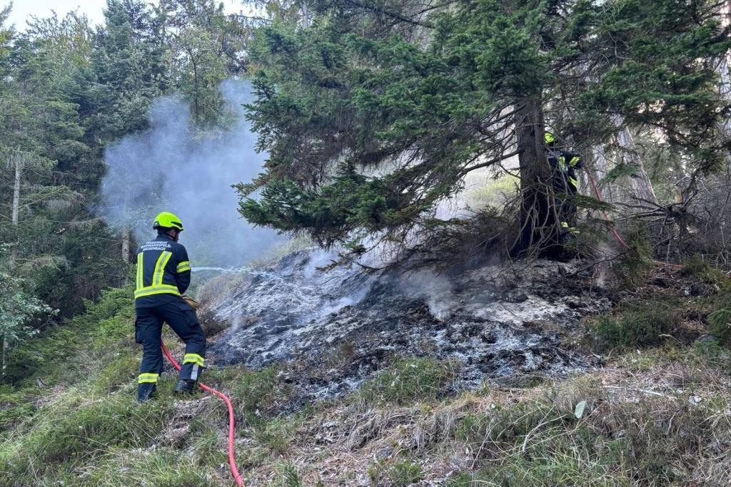 FF Gutenstein: Waldbrand im Zellenbach