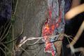 20140122_fffelixdorf_1